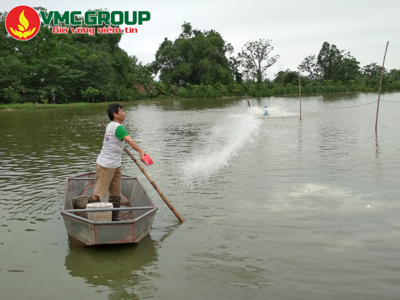 Ứng dụng canxi cacbonat trong nông nghiệp và chăn nuôi