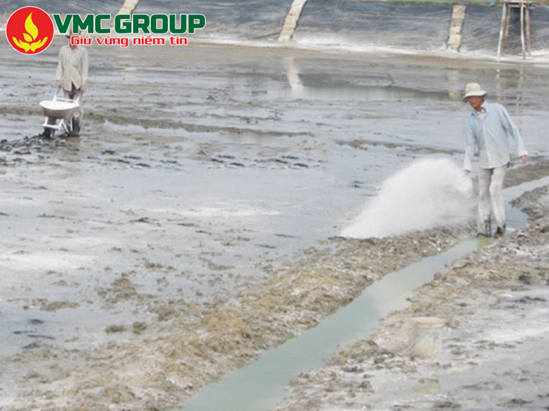 Tìm hiểu tác dụng khử trùng nước của vôi thủy sản