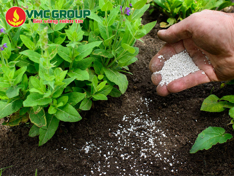 Những ứng dụng chính của Ammonium Chloride