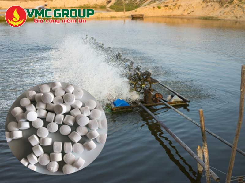 Lợi ích của oxy viên Trung Quốc trong ao nuôi thủy sản