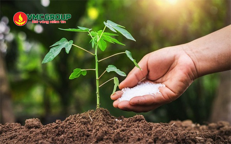 Phân Ammonium Chloride giúp cung cấp nguồn đạm hiệu quả cho cây trồng
